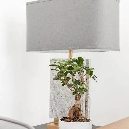 Prata Street-your In Lissabon